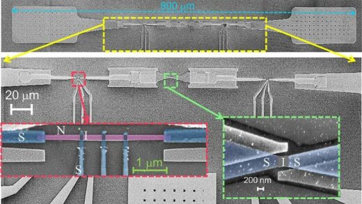 量子领域新突破：量子比特如何损耗能量方式被揭示