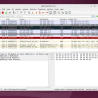 常用的网络协议分析工具 Wireshark 4.4 发布
