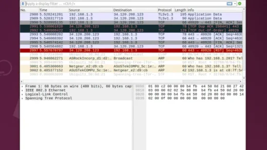 常用的网络协议分析工具 Wireshark 4.4 发布