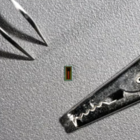 瑞士团队打造超小脑机接口，意识转文本准确率高达 91%