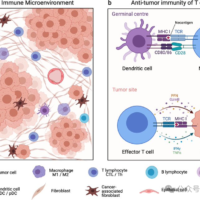 “AI 抗癌”让脑瘤细胞转为免疫细胞：生存几率猛涨 75%，即将进入临床试验