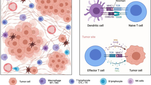 “AI 抗癌”让脑瘤细胞转为免疫细胞：生存几率猛涨 75%，即将进入临床试验
