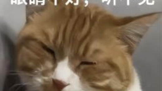 陶哲轩提前实测满血版o1：都能当研究生使唤了