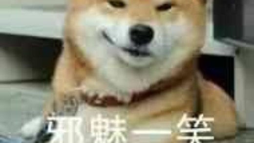 40 年图灵机难题被业余玩家攻破，陶哲轩评价“软件辅助证明改变数学研究规则”