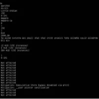 Linux 6.12 将支持来自 Arm 的权限覆盖扩展
