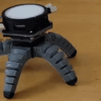 生物与机器的结合：科学家研制出由蘑菇控制的机器人