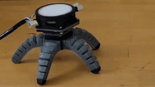 生物与机器的结合：科学家研制出由蘑菇控制的机器人