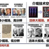 “看穿”大脑！我国科学家“上新”超级显微镜