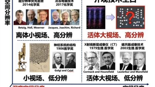 “看穿”大脑！我国科学家“上新”超级显微镜