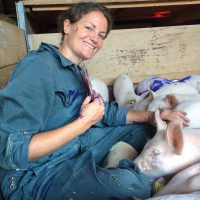 AI正在解读“猪言猪语” 欧洲科学家将目光转向猪的心理状态