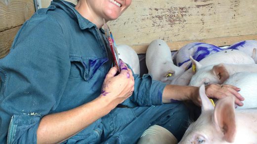 AI正在解读“猪言猪语” 欧洲科学家将目光转向猪的心理状态