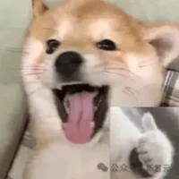 国外游戏作家：吓死了，谷歌NotebookLM的假AI播客正在评论我的书