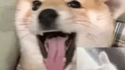 国外游戏作家：吓死了，谷歌NotebookLM的假AI播客正在评论我的书