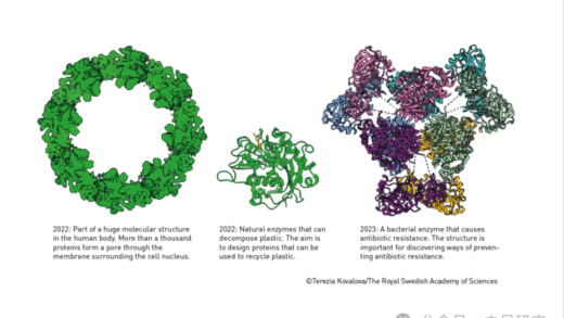 诺贝尔化学奖是AI for Science 物理奖是Science for AI