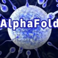诺奖 AI“AlphaFold”破解受精之谜：揭秘精卵相遇生命“火花”点燃瞬间