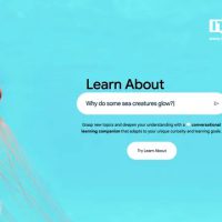 谷歌推出全新 AI 工具 Learn About，专注于教育与学习