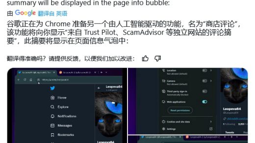 谷歌 Chrome 浏览器测试 AI“网购慧眼”功能，让网店口碑一目了然
