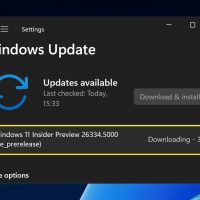 微软发布 Windows Server vNext 26334，2024 年最后一个预览版