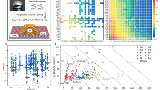 中国科学家用AI破解50年难题