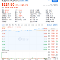 AI芯片收入暴涨220%！博通股价大涨24% 市值突破1万亿美元