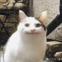 月薪1万4的ChatGPT要来了！OpenAI自曝其达博士级别