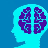 不能“一心多用”谜题破解了！新研究发现人脑决策速度惊人的慢