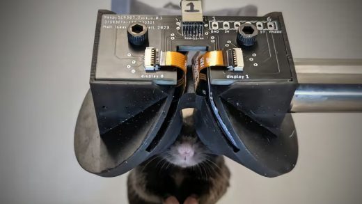 为老鼠戴上 VR 头显，探索大脑奥秘的新利器