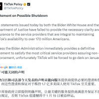 TikTok呼吁美国不强制执行禁令：否则将于19日被迫关闭