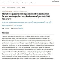 科学家开发出“可改造人造细胞”的 DNA 纳米机器人