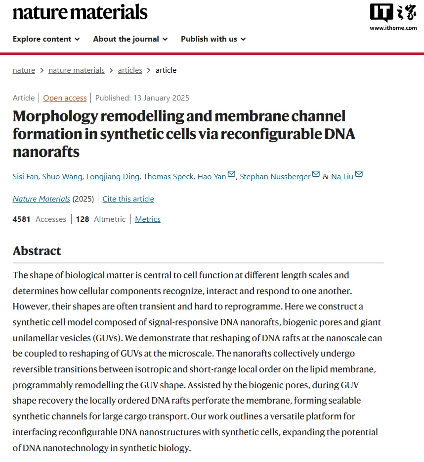 科学家开发出“可改造人造细胞”的 DNA 纳米机器人