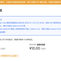 模型优惠进入倒计时 DeepSeek因服务器暂停API服务充值