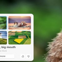 微软升级 Win11 壁纸体验：接入 Copilot AI，助你探索桌面之美