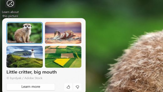 微软升级 Win11 壁纸体验：接入 Copilot AI，助你探索桌面之美
