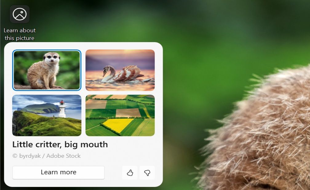 微软升级 Win11 壁纸体验：接入 Copilot AI，助你探索桌面之美