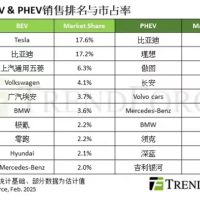2024全球新能源销量榜：特斯拉、比亚迪分别夺得纯电与插混冠军