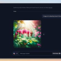 Microsoft Copilot 登陆 Mac