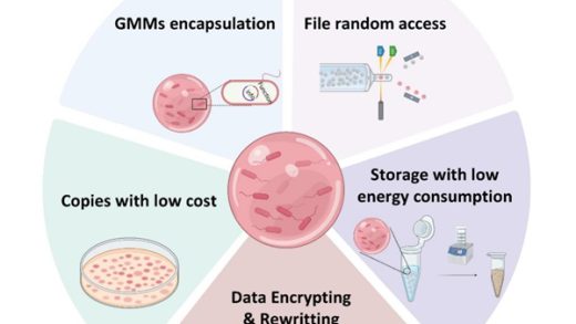清华大学研发细菌彩珠硬盘：突破DNA存储瓶颈 一个冰箱体积能存2.6亿TB数据