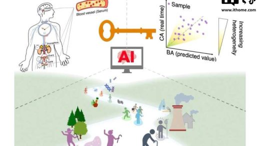 AI 助力，新研究只用 5 滴血就能测出你的真实生理年龄