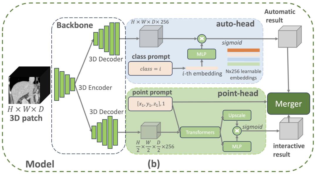 精度提升5.2%，英伟达等发布多模态医学影像分割模型，实现三维影像自动分割与交互