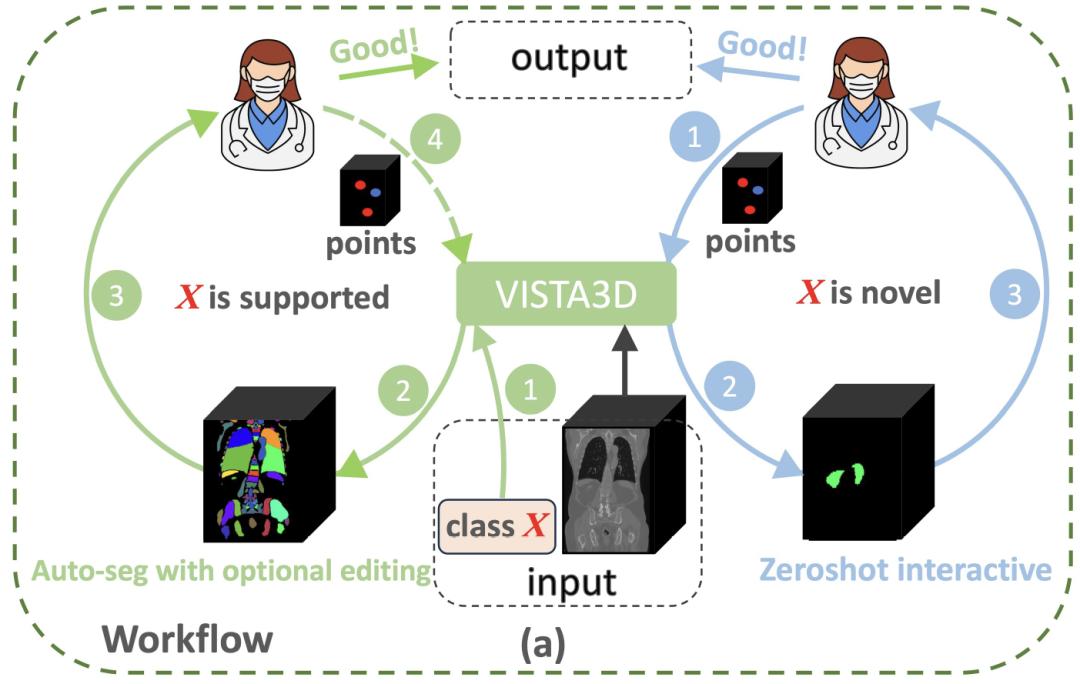 精度提升5.2%，英伟达等发布多模态医学影像分割模型，实现三维影像自动分割与交互