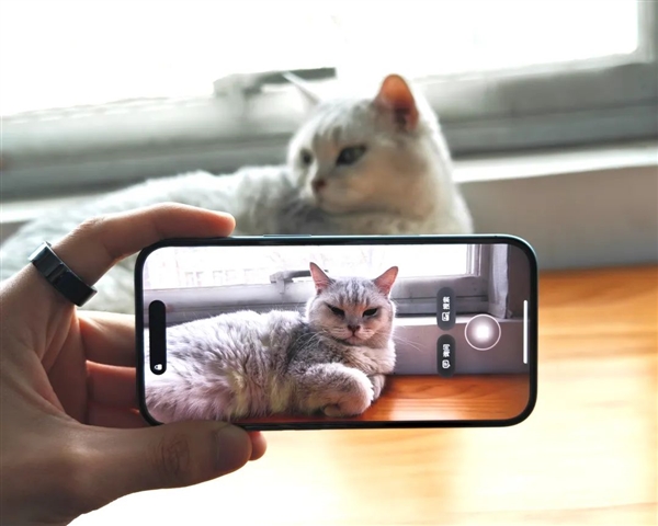 Apple AI中文版正式上线：还不太好用 但确实很苹果