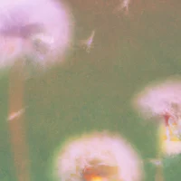 OpenAI 宣布为行业创建定制 AI 基准的计划