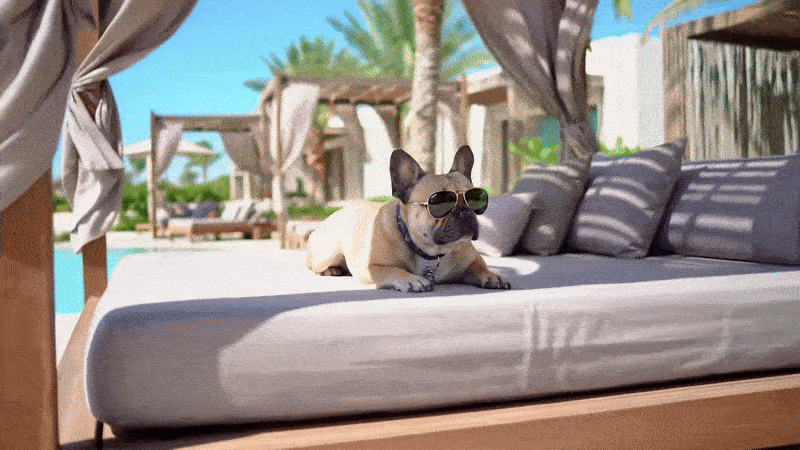 Google的 Veo 2 视频生成模型登陆 Gemini