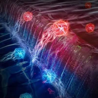 每秒存取25亿次 人类最快电子存储器“破晓”