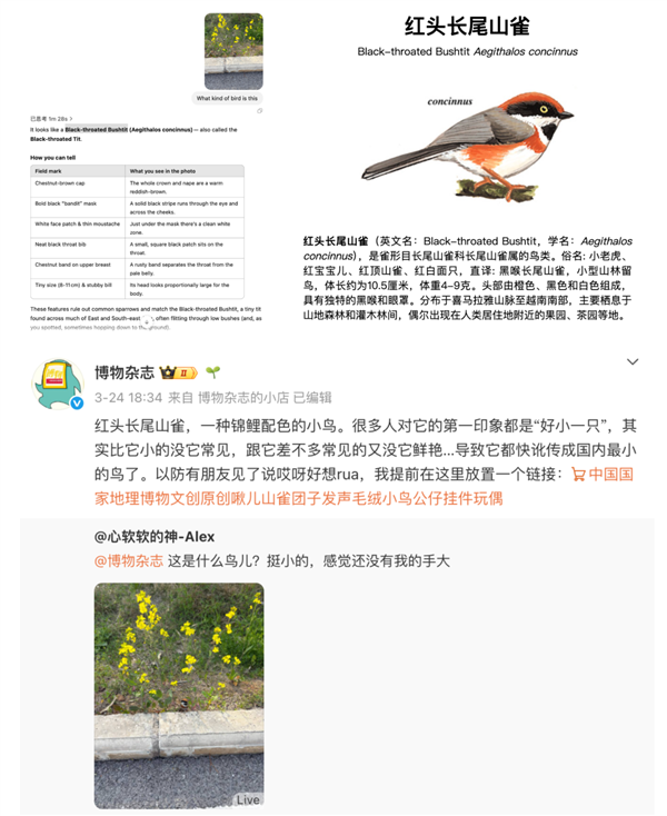 ChatGPT这一波更新 让我在网上不敢发照片了