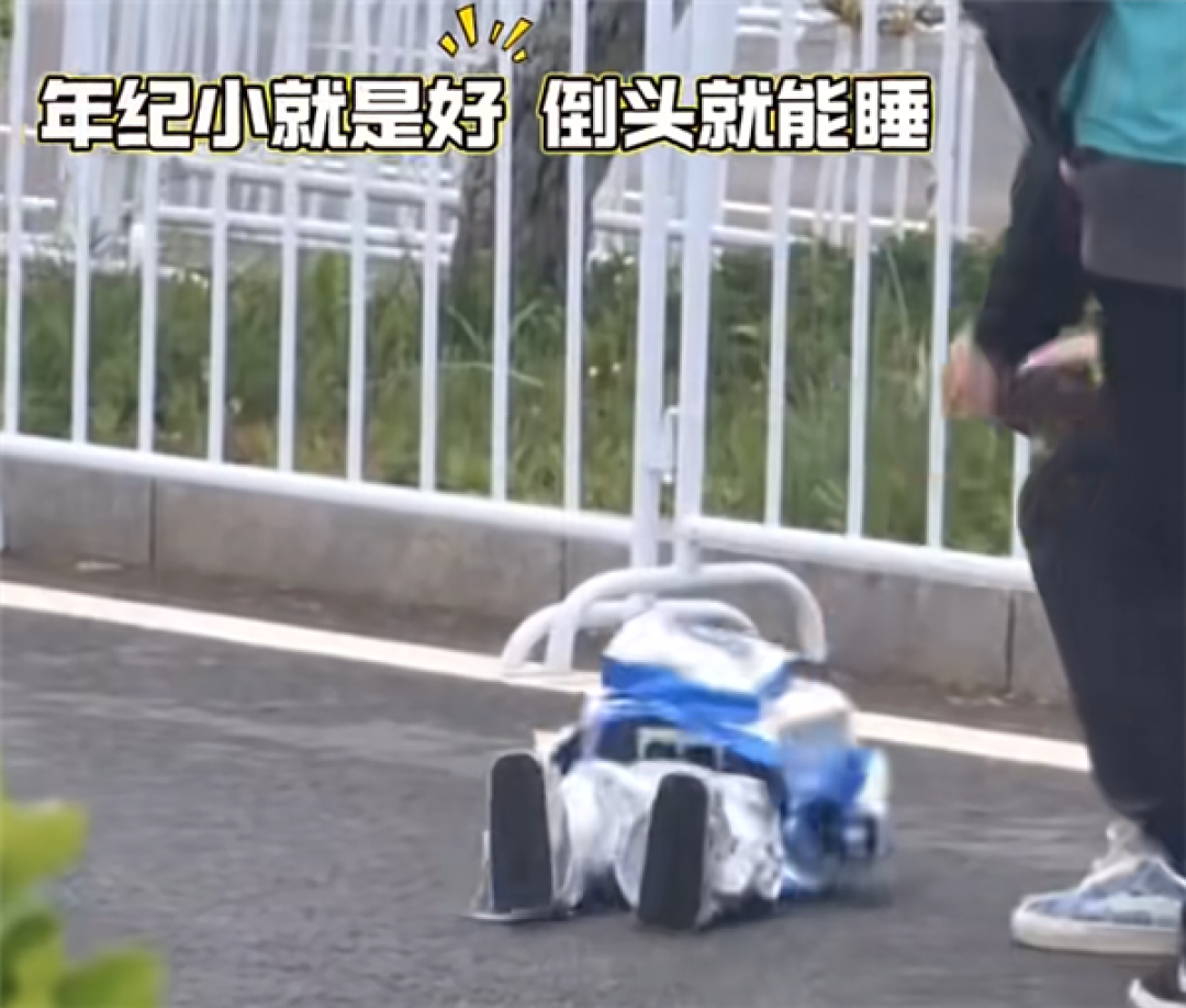 北京人形机器人比赛洋相百出 股民瑟瑟发抖：吹了半天是玩具