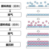车企的“双面游戏”决定了驾驶舱内的生死