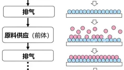 车企的“双面游戏”决定了驾驶舱内的生死