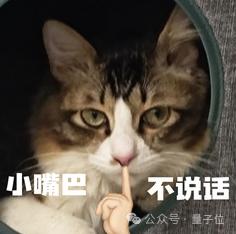 微软CEO和奥特曼失了和，OpenAI被“断粮”