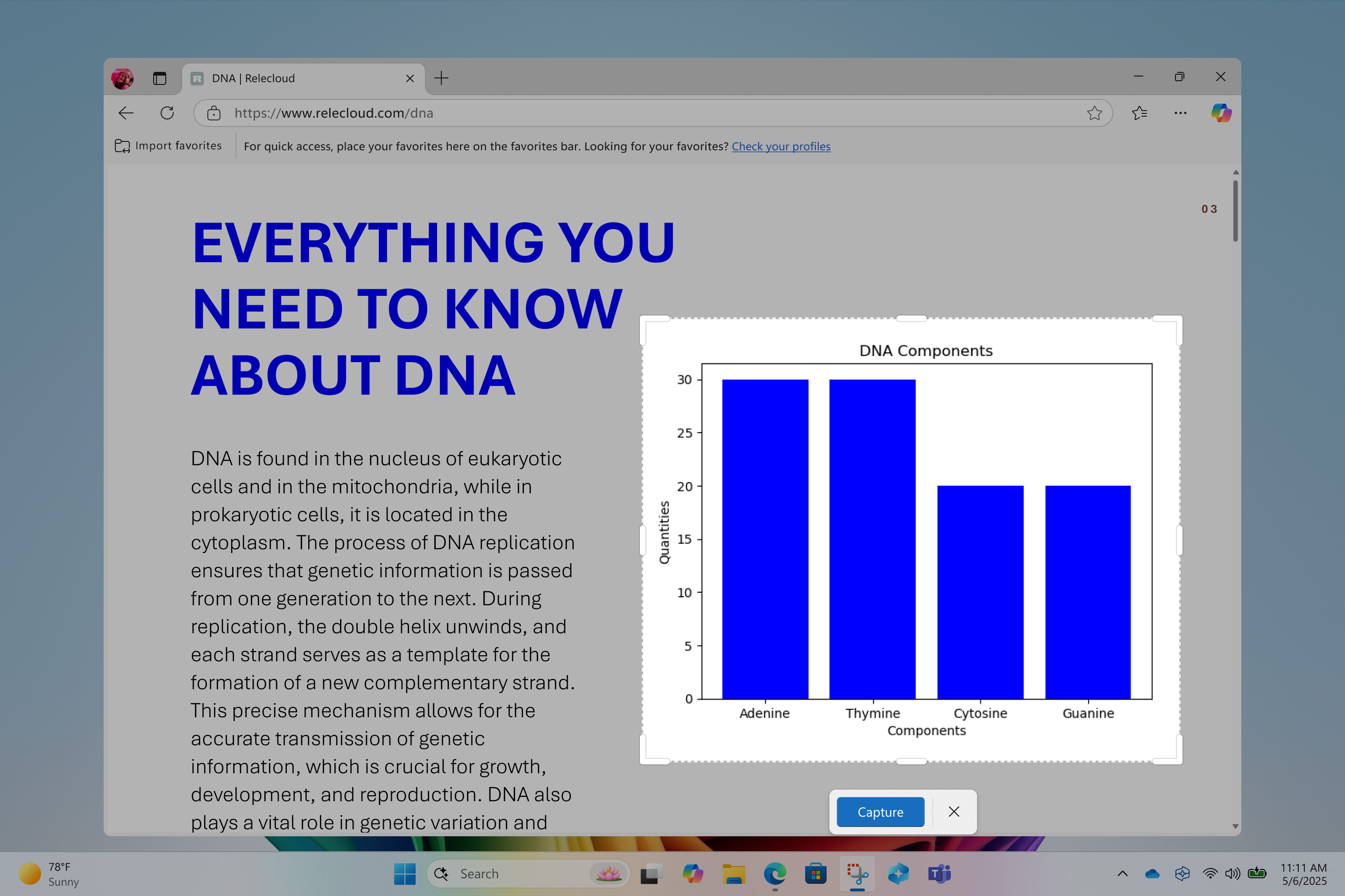 Windows 11 中的画图、截图工具和照片功能将迎来许多新功能